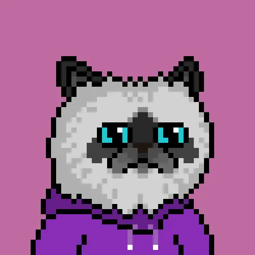 Mr. Miggles NFT artwork